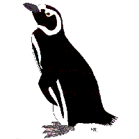 megalanic penguin