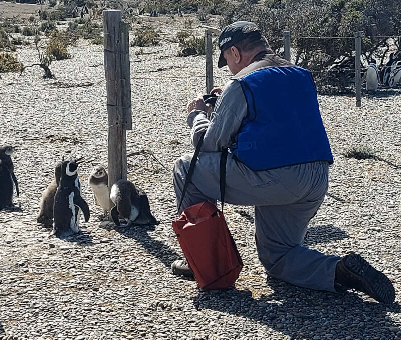 Dr Mike Bingham photographing Magellanic Penguins